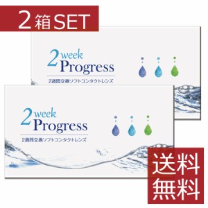 コンタクト 2ウィークプログレス(6枚入)　×2箱　2week progress クリアコンタクト  2週間交換 ツーウィーク　安い