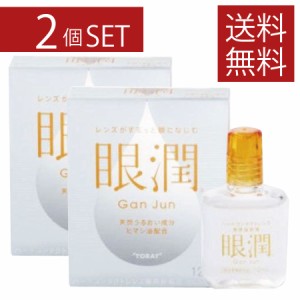 ハードレンズ用装着液 東レ 眼潤 12ml×2本【送料無料】コンタクト ハード ケア用品　ハードコンタクト　コンタクトレンズ