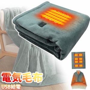 電気毛布 8つヒーター内蔵 3段階温度調節デュアルコントローラーUSB給電 ソフトフランネル素材 暖房過熱保護 日本語説明書