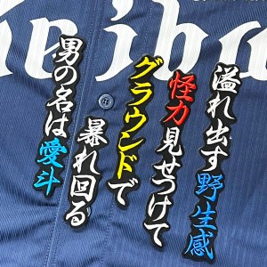 ★送料無料★埼玉　西武　ライオンズ　愛斗　応援歌　黒布　刺繍　ワッペン　ユニフォーム