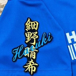 ★送料無料★北海道　日本ハム　ファイターズ　日ハム　細野晴希　ネーム　黒布　応援　刺繍　ワッペン