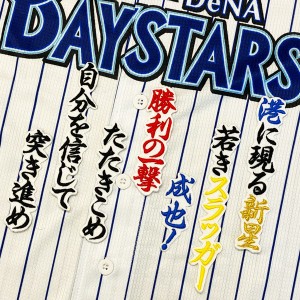 ★送料無料★横浜　DeNA　ベイスターズ　細川成也　応援歌　白布　刺繍　ワッペン　ユニフォーム