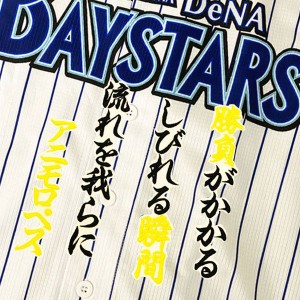 ★送料無料★横浜　DeNA　ベイスターズ　ロペス　応援歌　白布　刺繍　ワッペン　ユニフォーム