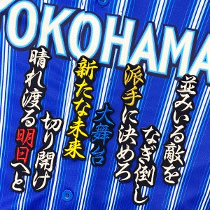 ★送料無料★横浜　DeNA ベイスターズ　田中俊太　応援歌　黒布　刺繍　ワッペン　ユニフォーム