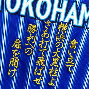 ★送料無料★横浜　DeNA ベイスターズ　戸柱恭孝　応援歌　青　刺繍　ワッペン　ユニフォーム