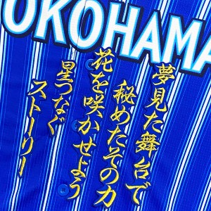 ★送料無料★横浜　DeNA ベイスターズ　楠本泰史　応援歌　青　刺繍　ワッペン　ユニフォーム