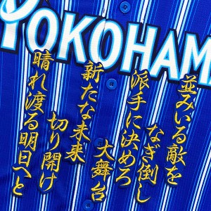 ★送料無料★横浜　DeNA ベイスターズ　田中俊太　応援歌　青　刺繍　ワッペン　ユニフォーム