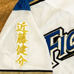 ★送料無料★北海道　日本ハム　ファイターズ　日ハム　近藤健介　ネーム 2　白布　応援　刺繍　ワッペン