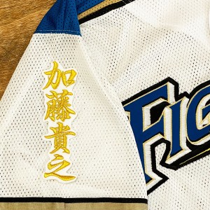 ★送料無料★北海道　日本ハム　ファイターズ　日ハム　加藤貴之　ネーム 2　白布　応援　刺繍　ワッペン