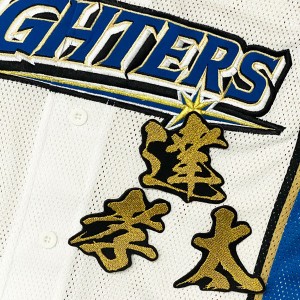 ★送料無料★北海道　日本ハム　ファイターズ　日ハム　達孝太　毛筆 名前　刺繍　ワッペン　ユニフォーム　