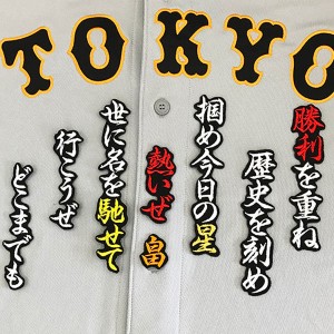 ★送料無料★東京　読売　ジャイアンツ　巨人　畠世周　応援歌　黒布　刺繍　ワッペン　ユニフォーム