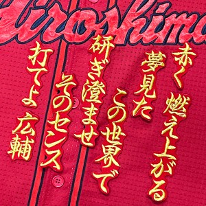 ★送料無料★広島 カープ　田中広輔　応援歌　赤布　刺繍　ワッペン　ユニフォーム