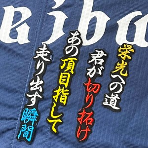 ★送料無料★埼玉　西武　ライオンズ　若林楽人　応援歌　黒布　刺繍　ワッペン　ユニフォーム