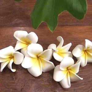 FRANJIPANI・大人気 フラワーオブジェ4個セット アジアン 雑貨 置物 おしゃれ モダン 玄関 エスニック リゾート バリ雑貨 バリ 造花 フラ