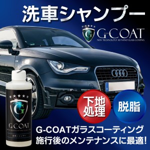 洗車【シャンプー】G-COAT 下地処理 脱脂 ワックス 洗車