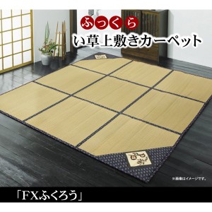 ウレタン6mm入り い草カーペット 『FXふくろう』 約180×180cm