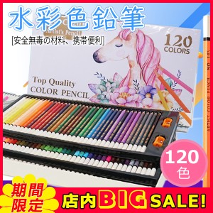 色鉛筆 水彩 お絵かき 120色セット 水彩画 プレゼント 文房具 筆記具 絵の具セット カラーサインペン 入学 入園 祝い 画材 塗り絵