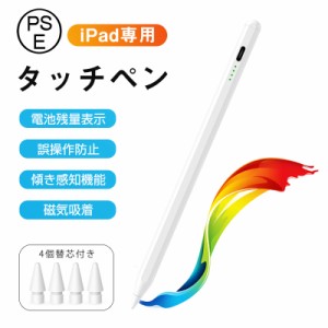 iPad タッチペン ipad専用 第10世代 残量表示 傾き感知 アイパッド ペンシル極細 スタイラスペン パームリジェクション