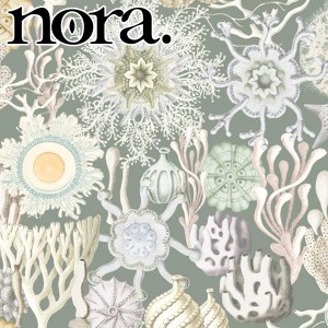 nora.　サンゴとグレーの海　10cm単位　切り売り　ST1106　シーチング生地　ノラ　NORA.　(180)　［在庫限り］