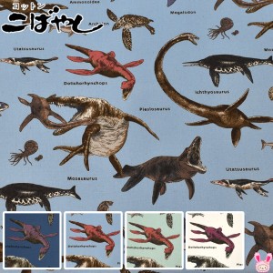 海竜　10cm単位　切り売り　ツイル生地　KTS7017　コットンこばやし