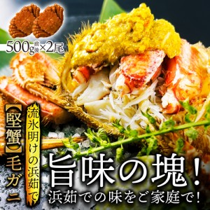 北海道産 浜茹 毛蟹 約500g×2尾 送料無料 国産 蟹 かに カニ 毛がに 毛ガニ 堅蟹 蟹みそ 贈り物 プレゼント 内祝い 快気祝い おいしい 