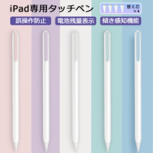 【2023最新/傾き感知/残量表示/超高感度】iPad ペンシル タッチペン 極細ペン先1.0mm スタイラスペン Type-C充電式 iPad Pro mini6 Air5/