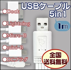 USBケーブル 5in1 充電 minib microb lightning ライトニング Dock DCプラグ PC DS PSP カメラ iphone ipad ipod