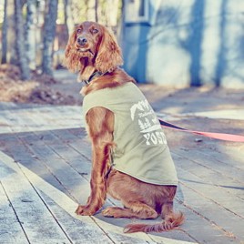 California Vintage タンクトップ Yosemite（ヨセミテ） GreenTea 犬用 Mサイズ 【メール便】