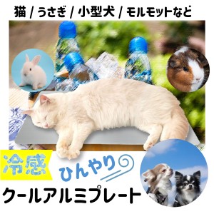 【最安値挑戦中】ひんやりアルミプレート（中）  小動物 用品 ひんやりグッズ  クールマット 夏対策 冷たい エアコン 涼感 冷却　はりね