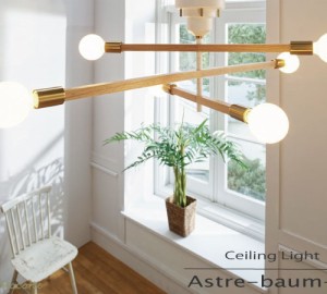 照明 シーリングライト 北欧 おしゃれ 6灯 明るい 天井照明 LED 可動式 木製 真鍮ゴールド アストルバウム インターフォルム LT3526 3527