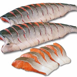 鮭 天然紅鮭 1キロ前後×3枚 甘塩 サケ 半身 姿切身 さけ 2分割 切り身 ギフト 贈り物