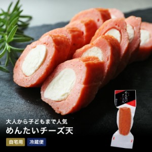 父の日ギフト さつまあげ 【めんたいチーズ（1本入）】 90ｇ  内祝い お祝い お返し かまぼこ   お歳暮父の日ギフト  おつまみ 惣菜ギフ