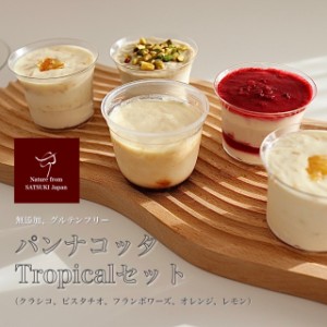 【送料無料】パンナコッタ Tropicalセット グルテンフリー 無添加 パンナコッタ ピスタチオスイーツ クラシコ ピスタチオ フランボワーズ