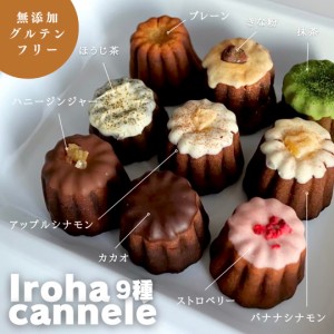 【 グルテンフリー の 本格 スイーツ 】iroha cannel? 9種 セット 洋菓子 カヌレ プレーン カカオ 抹茶 ほうじ茶 きな粉 ハニージンジャ