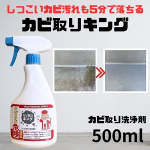 【掃除のプロ御用達】 業務用 カビ落とし カビ取りキング 500ml スプレー カビ カビ取り剤 掃除用品 お掃除用品 掃除グッズ 年末掃除グッ