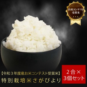 令和5年度産 お米コンテスト 受賞米 お試し 特別栽培米 さがびより2合×3個セット米 さがびより 佐賀県産米 減農薬 しもむら農園 お手頃 