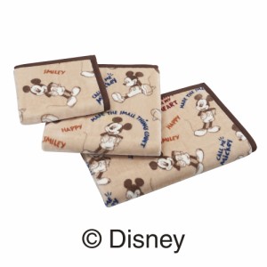 [Disney] ニューマイヤー毛布 ミッキーマウス＆ミニーマウス シングル 昭和西川