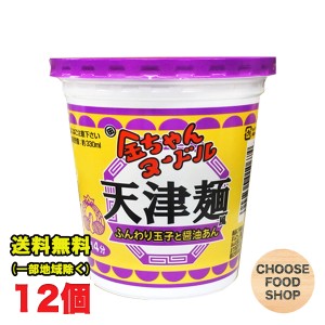 金ちゃんヌードル 天津麺風 12個入り×1ケース 徳島製粉 まとめ買い カップラーメン あんかけ 送料無料（北海道・東北・沖縄除く）