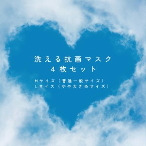 のし付  洗える 抗菌マスク４枚セット