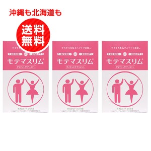 モテマスリム120粒 3個お得セット ダイエットサプリメント【沖縄も北海道も送料無料】ダイエットインナーサポート/乳酸菌/ビフィズス菌/