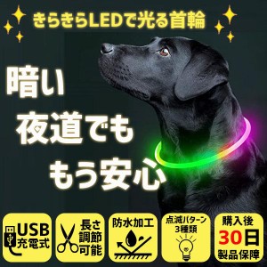 犬 首輪 光る LED 長さ調節 散歩 事故防止 USB充電式 8色から選べる