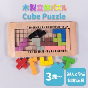 知育玩具 3歳 木製 木のおもちゃ パズル 立体 プログラミング脳 教材 思考力 考え方 遊び 家族で遊べる 学ぶ
