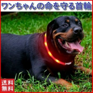 光る首輪 犬用 充電式 犬 猫 首輪 おしゃれ チョーカー LED ライト 光る 蛍光首輪 ナイロン ソフト 安全 反射 小型犬 中型犬 大型犬 猫 