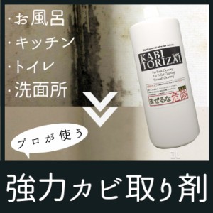 カビ取り剤ジェル カビ取り 浴室 キッチン トイレ 水回り カビとり カビ取りジェル 業務用 効果 おすすめ 風呂掃除 洗剤 カビ 床 排水溝 