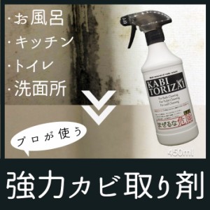 カビ取り剤ジェル カビ取り 浴室 キッチン トイレ 水回り カビとり カビ取りジェル 業務用 効果 おすすめ 風呂掃除 洗剤 カビ 床 排水溝 