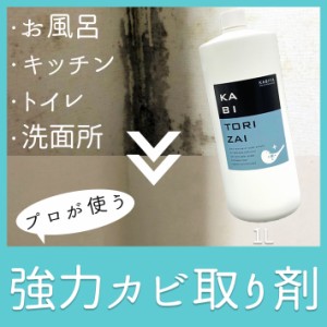 カビ取り剤ジェル カビ取り 浴室 キッチン トイレ 水回り カビとりカビ取りジェル 業務用 効果 おすすめ 風呂掃除 洗剤 カビ 床 排水溝 