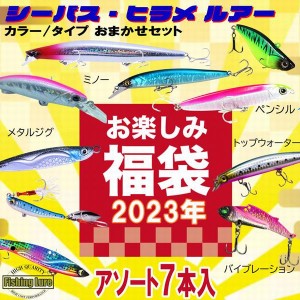 ルアー 釣り ルアーセット 福袋 ミノー ジグ バイブレーション ルアー福袋 2023 ミノー ジグ バイブレーション ペンシル トップウォータ