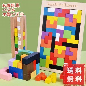 パズル 教具 知育玩具 3歳 4歳 5歳 6歳 子供 キッズ 女の子 男の子 送料無料 着手力 思考を活発にする 色の分類