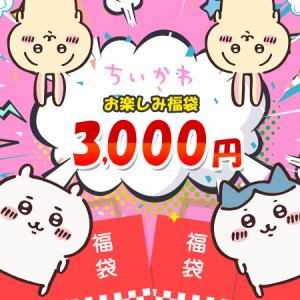 ちいかわ 福袋 3000円 限定 大特価 スペシャル価格 お年玉 アニメ グッズ キャラクター プレゼント 誕生日