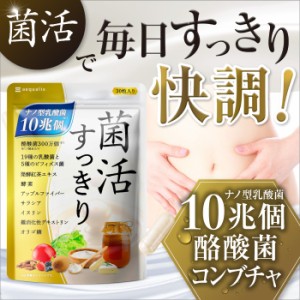 乳酸菌 サプリ 菌活すっきり 乳酸菌10兆個 ビフィズス菌  酪酸菌 1ヶ月分 コンブチャ 酵素 オリゴ糖　サラシア 菌活 腸活 送料無料